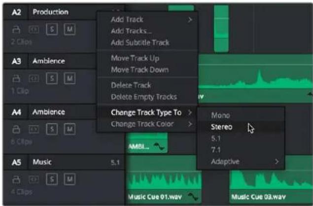 A2 Production Add Track Add Tracks... Add Subtitle Track A3 Ambience Move Track Up Move Track Down Delete Track Delete Empty Tracks A4 Ambience Change Track Type To > Change Track Color > A5 Music 5.1 Audio Audio Cable 01.wav Audio Cable 03.wav Mono Stereo 5.1 7.1 Adaptive >