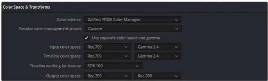 Color Space & Transforms Color science DeVinci YRGB Color Managed Resolve color management preset Custom ✓ Use separate color space and gamma Input color space Rec.709 Gamma 2.4 Timeline color space Rec.709 Gamma 2.4 Timeline working luminance SDR 100 Output color space Rec.709 Rec.709