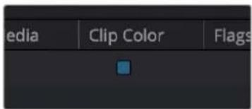 media Clip Color Flags