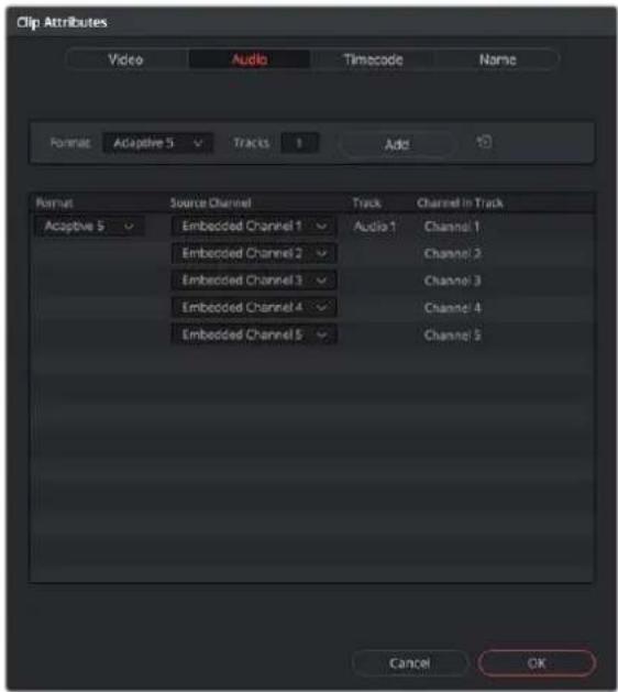 Clip Attributes Video Audio Timecode Name Format: Adaptive 5 Tracks Add Format Source Channel Track Channel In Track Adaptive 5 Embedded Channel 1 Audio 1 Channel 1 Embedded Channel 2 Channel 2 Embedded Channel 3 Channel 3 Embedded Channel 4 Channel 4 Embedded Channel 5 Channel 5 Cancel OK