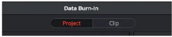 Data Burn-In Project Clip