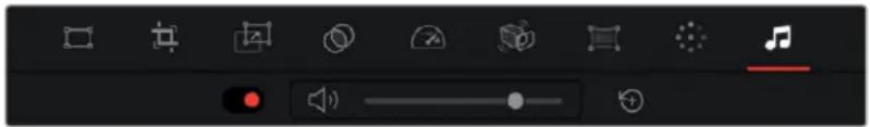Screenshot of a media player control interface with playback controls and playback buttons