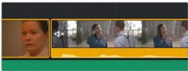Blackmagic Design DaVinci Resolve - Muting Clips - 1