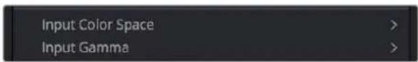 Input Color Space > Input Gamma >