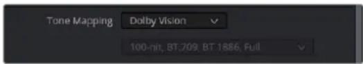 Tone Mapping Dolby Vision 100-nit, BT:709, BT:1886, Full