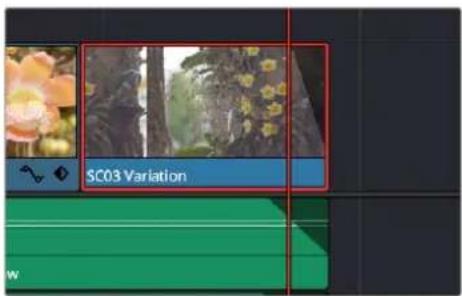 SC03 Variation