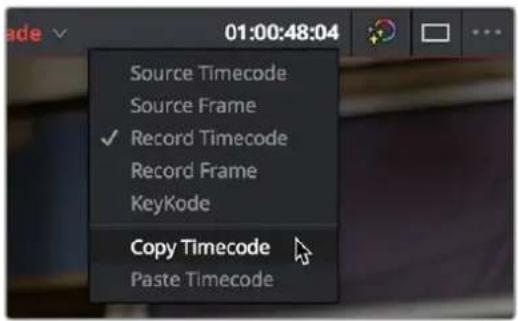 01:00:48:04 Source Timecode Source Frame ✓ Record Timecode Record Frame KeyKode Copy Timecode Paste Timecode