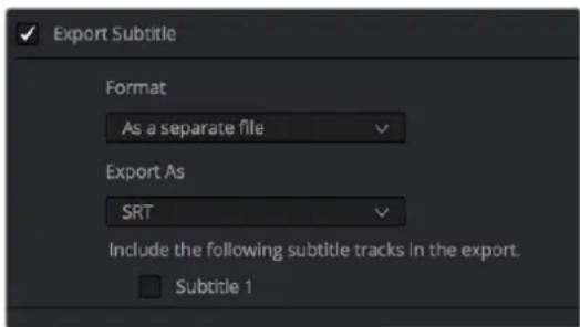 Export Subtitle Format As a separate file Export As SRT Include the following subtitle tracks in the export. Subtitle 1