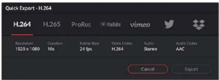 Quick Export - H.264 H.264 H.265 ProRes YouTube vimeo Resolution Duration Frame Rate Video Codac Audio Audio Codac 1920 x 1080 10s 24 fps H.264 Stereo AAC Cancel Export