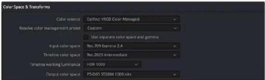 Color Space & Transforms Color science DeVinci YRGB Color Managed Resolve color management preset Custom Use separate color space and gamma Input color space Rec.709 Gamma 2.4 Timeline color space Rec.2020 Intermediate Timeline working luminance HDR 1000 Output color space P3-D65 ST2084 1000 nits