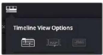 Timeline View Options