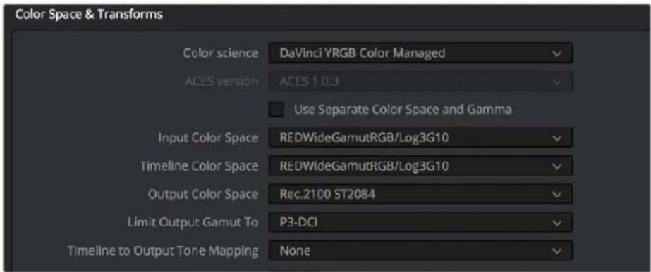 Color Space & Transforms Color science DaVinci YRGB Color Managed ACES version ACES 1.0.3 Use Separate Color Space and Gamma Input Color Space REDWideGamutRGB/Log3G10 Timeline Color Space REDWideGamutRGB/Log3G10 Output Color Space Rec.2100 ST2084 Limit Output Gamut To P3-DCI Timeline to Output Tone Mapping None