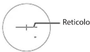 Reticolo