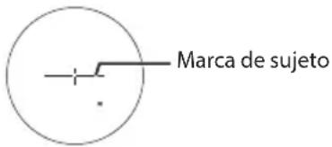 Marca de sujeto