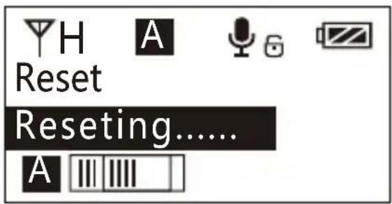Comica CVM-WM200A - System Language - 6