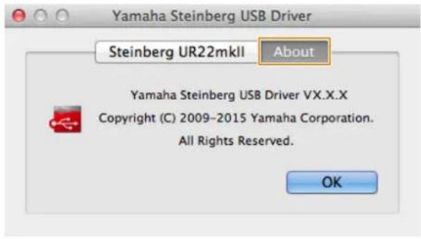 STEINBERG UR22 MKII - About Window - 1