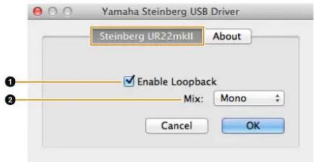 STEINBERG UR22 MKII - Steinberg UR22mkII Window - 1