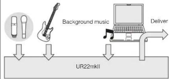 STEINBERG UR22 MKII - What is loopback? - 1