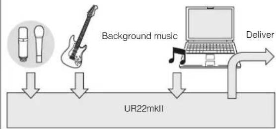 STEINBERG UR22 MKII - What is loopback? - 1