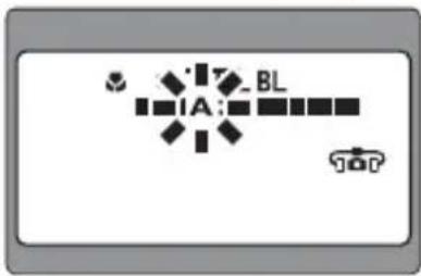 A: BL BL