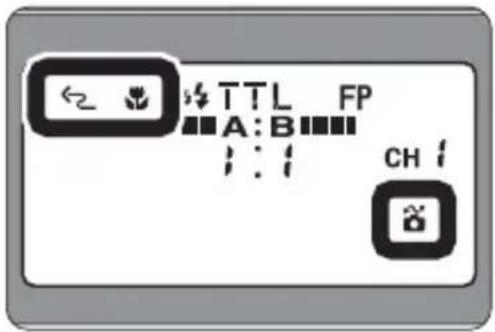 TTL FP A: B ; : : CH