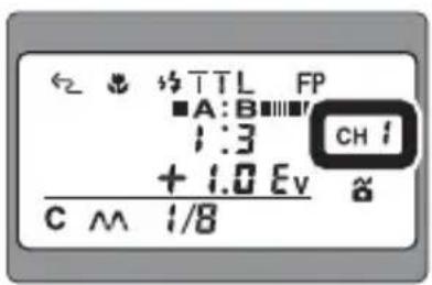 ← 3 TT L FP ■A:B ■■■■ 1:3 CH I + 1.0 Ev C M 1/8
