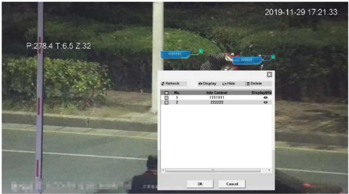 Dahua Technology DH-SD22204UE-GN-W - Video Window Functions - 4
