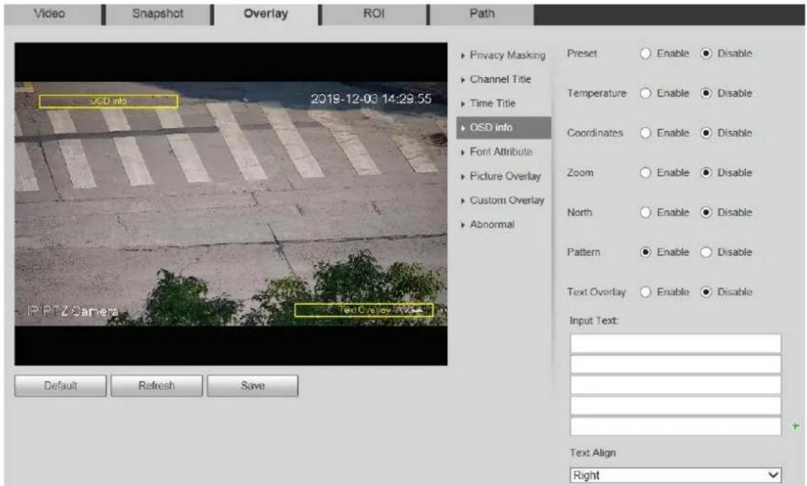 Dahua Technology DH-SD22204UE-GN-W - Overlay - 4