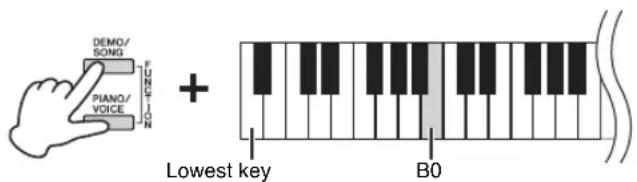 DEMO/ SONG PIANO/ VOICE + Lowest key B0