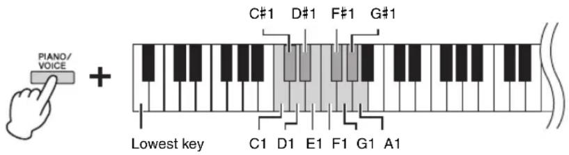 PIANO/ VOICE + C#1 D#1 F#1 G#1 Lowest key C1 D1 E1 F1 G1 A1