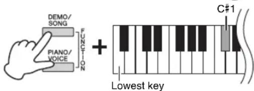 DEMO/ SONG PIANO/ VOICE FUNCTION + Lowest key C#1