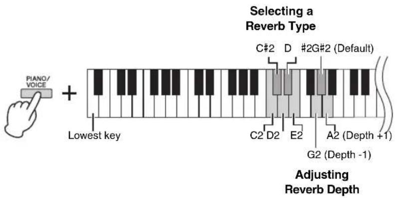 Piano/ VOICE + Lowest key Selecting a Reverb Type C#2 D #2G#2 (Default) C2 D2 E2 A2 (Depth +1) G2 (Depth -1) Adjusting Reverb Depth