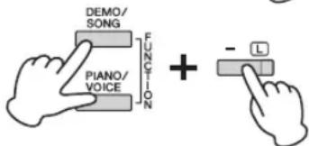 DEMO/ SONG Piano/ VOICE FUNCTION + - L