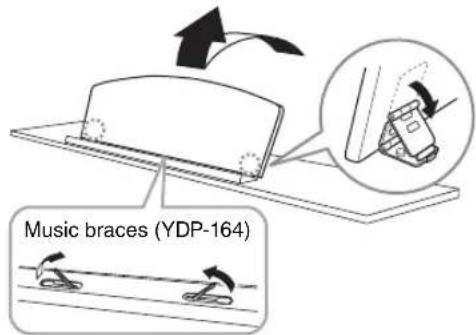 Music braces (YDP-164)