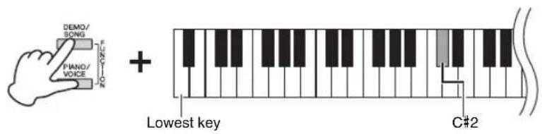 DEMO/ SONG Piano/ VOICE + Lowest key C#2