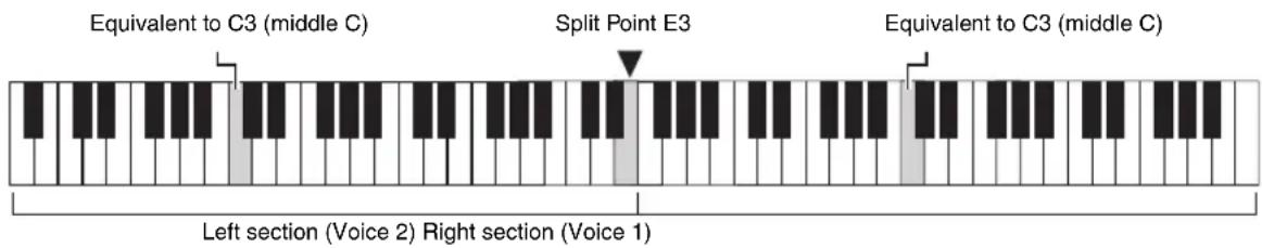 Equivalent to C3 (middle C) Split Point E3 Equivalent to C3 (middle C) Left section (Voice 2) Right section (Voice 1)