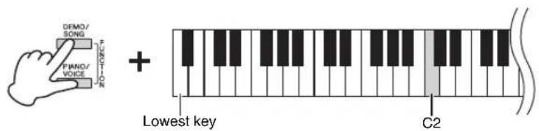 demo/ SONG Piano/ VOICE + Lowest key C2
