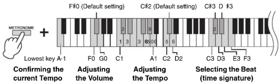 METRONOME + Lowest key A-1 F#0 (Default setting) C#2 (Default setting) C#3 D #3 Adjusting the Volume Adjusting the Tempo Selecting the Beat (time signature) Confirming the current Tempo