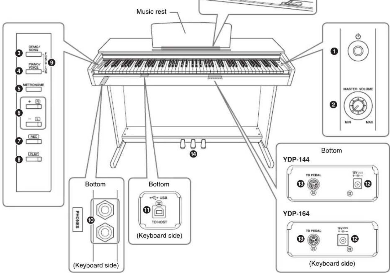 Music rest ① ② MASTER VOLUME MIN MAX ③ ④ ⑤ METRONOME ⑥ ⑦ ⑧ Bottom PHONES ⑩ Keyboard side) Bottom USB TO HOST ⑪ Keyboard side) Bottom YDP-144 ⑬ ⑭ ⑮ ⑯ YDP-164 ⑰ ⑱ ⑲ ⑳ (YD/P) 12V=- +→+ ⑪ (YD/P) 13V=- +→+ ⑫ (YD/P) 14 (YD/P) 15V=- +→+ ⑬ (YD/P) 16V=- +→+ ⑭ (YD/P) 17V=- +→+ ⑮ (YD/P) 18V=- +→+ ⑯ (YD/P) 19V=- +→+ ⑰ (YD/P) 20V=- +→+ ⑱ (YD/P) 21V=- +→+ ㉑ (YD/P) 22V=- +→+ ㉒ (YD/P) 23V=- +→+ ㉓ (YD/P) 24V=- +→+ ㉔ (YD/P) 25V=- +→+ ㉕ (YD/P) 26V=- +→+ ㉖ (YD/P) 27V=- +→+ ㉗ (YD/P) 28V=- +→+ ㉘ (YD/P) 29V=- +→+ ㉙ (YD/P) 30V=- +→+ ㉚ (YD/P) 31V=- +→+ ㉛ (YD/P) 32V=- +→+ ㉜ (YD/P) 33V=- +→+ ㉝ (YD/P) 34V=- +→+ ㉞ (YD/P) 35V=- +→+ ㉟ (YD/P) 36V=- +→+ ㉳ (YD/P) 37V=- +→+ ㉟a (YD/P) 38V=- +→+ ㉟b (YD/P) 39V=- +→+ ㉟c (YD/P) 40V=- +→+ ㉟d (YD/P) 41V=- +→+ ㉟e (YD/P) 42V=- +→+ ㉟f (YD/P) 43V=- +→+ ㉟g (YD/P) 44V=- +→+ ㉟h (YD/P) 45V=- +→+ ㉟i (YD/P) 46V=- +→+ ㉟j (YD/P) 47V=- +→+ ㉟k (YD/P) 48V=- +→+ ㉟l (YD/P) 49V=- +→+ ㉟m (YD/P) 50V=- +→+ ㉟n (YD/P) 51V=- +→+ ㉟o (YD/P) 52V=- +→+ ㉟p (YD/P) 53V=- +→+ ㉟q (YD/P) 54V=- +→+ ㉟r (YD/P) 55V=- +→+ ㉟u (YD/P) 56V=- +→+ ㉟v (YD/P) 57V=- +→+ ㉟w (YD/P) 58V=- +→+ ㉟x (YD/P) 59V=- +→+ ㉟y (YD/P) 60V=- +→+ ㉟z (YD/P) 61V=- +→+ ㉟w (YD/P) 62V=- +→+ ㉟x (YD/P) 63V=- +→+ ㉟y (YD/P) 64V=- +→+ ㉟z (YD/P) 65V=- +→+ ㉟w (YD/P) 66V=- +→+ ㉟x (YD/P) 67V=- +→+ ㉟y (YD/P) 68V=- +→+ ㉟z (YD/P) 69V=- +→+ ㉟w (YD/P) 70V=- +→+ ㉟x (YD/P) 71V=- +→+ ㉟y (YD/P) 72V=- +→+ ㉟z (YD/P) 73V=- +→+ ㉟w (YD/P) 74V=- +→+ ㉟x (YD/P) 75V=- +→+ ㉟y (YD/P) 76V=- +→+ ㉟z (YD/P) 77V=- +→+ ㉟w (YD/P) 78V=- +→+ ㉟x (YD/P) 79V=- +→+ ㉟y (YD/P) 80V=- +→+ ㉟z (YD/P) 81V=- +→+ ㉟w (YD/P) 82V=- +→+ ㉟x (YD/P) 83V=- +→+ ㉟y (YD/P) 84V=- +→+ ㉟z (YD/P) 85V=- +→+ ㉟w (YD/P) 86V=- +→+ ㉟x (YD/P) 87V=- +→+ ㉟y (YD/P) 88V=- +→+ ㉟z (YD/P) 89V=- +→+ ㉟w (YD/P) 90V=- +→+ ㉟x (YD/P) 91V=- +→+ ㉟y (YD/P) 92V=- +→+ ㉟z (YD/P) 93V=- +→+ ㉟w (YD/P) 94V=- +→+ ㉟x (YD/P) 95V=- +→+ ㉟y (YD/P) 96V=- +→+ ㉟z (YD/P) 97V=- +→+ ㉟w (YD/P) 98V=- +→+ ㉟x (YD/P) 99V=- +→+ ㉟y (YD/P) 100V=