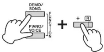 DEMO/ SONG Piano/ VOICE FUNCTION + R