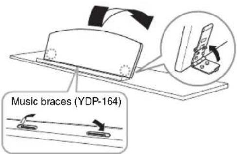 Music braces (YDP-164)