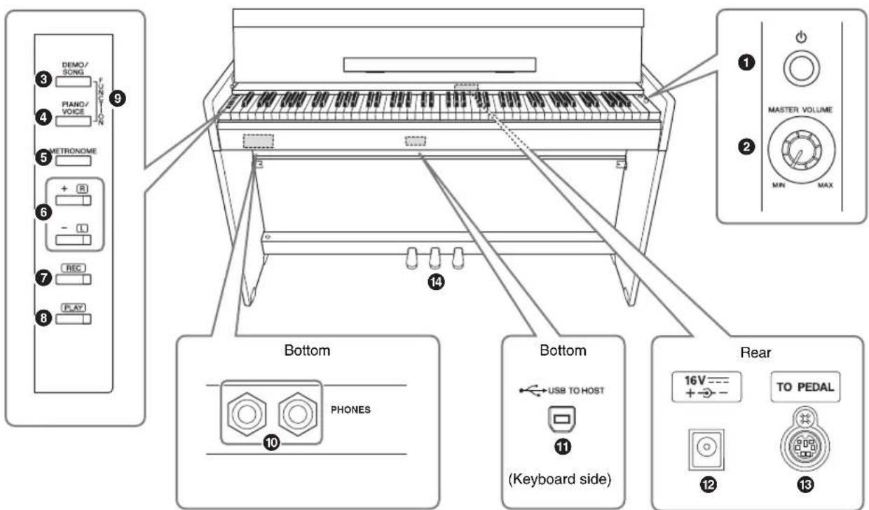 DEMO/ SONG PIANO/ VOICE METRONOME + - - - REC PLAY 1 2 MASTER VOLUME MIN MAX Bottom PHONES Bottom USB TO HOST Keyboard side Rear 16V --- + → - TO PEDAL 12 13