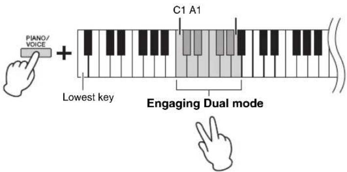 Piano/ VOICE + Lowest key C1 A1 Engaging Dual mode