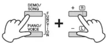 DEMO/ SONG PIANO/ VOICE FUNCTION + + R - L