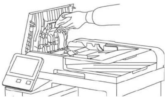 XEROX WorkCentre 6515 - CClleeaanniinngg tthhee FFeeeedd RRoolllleerrss oonn tthhee DDuupplleexx FFeeeeddeerr - 3