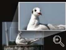 SJCAM SJ8 Pro - DIGITAL ZOOM - 1