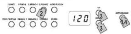 FUNDI FUNDI FUNDI FUNDI HARRIEDAY 2 WHIP/HEAT ORGAN I ORGAN II ONION CHOR 120 UP DO NOT 3 ATTENOMATE 14