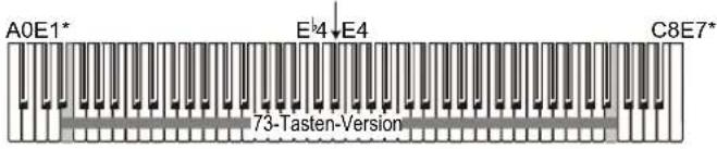 A0E1* E4 E4 C8E7* 73-Tasten-Version