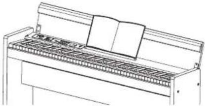 KORG C1 Air - Die LINE OUT-Buchse - 1