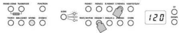 HAND SONG TRANSPORT FUNCTION TOUCH RELIANCE WIDE CHOWA MIME HAND SONG EXAMOUNT EXAMOUNT WIND/CLAY MIME/SIGHT ORGAN 1 ORGAN 2 CHOWA CHOW 120 UP DOWN